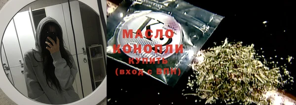 дживик Каменка