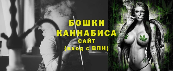 дживик Каменка