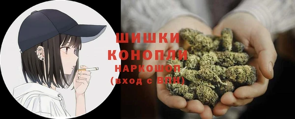дживик Каменка