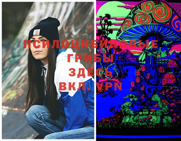кокаин Каменногорск