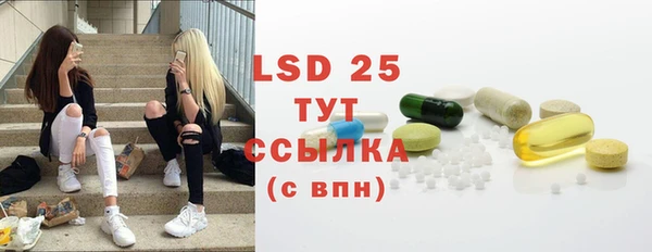 ГАЛЛЮЦИНОГЕННЫЕ ГРИБЫ Касимов