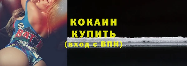 дживик Каменка