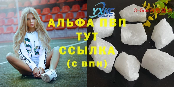 дживик Каменка